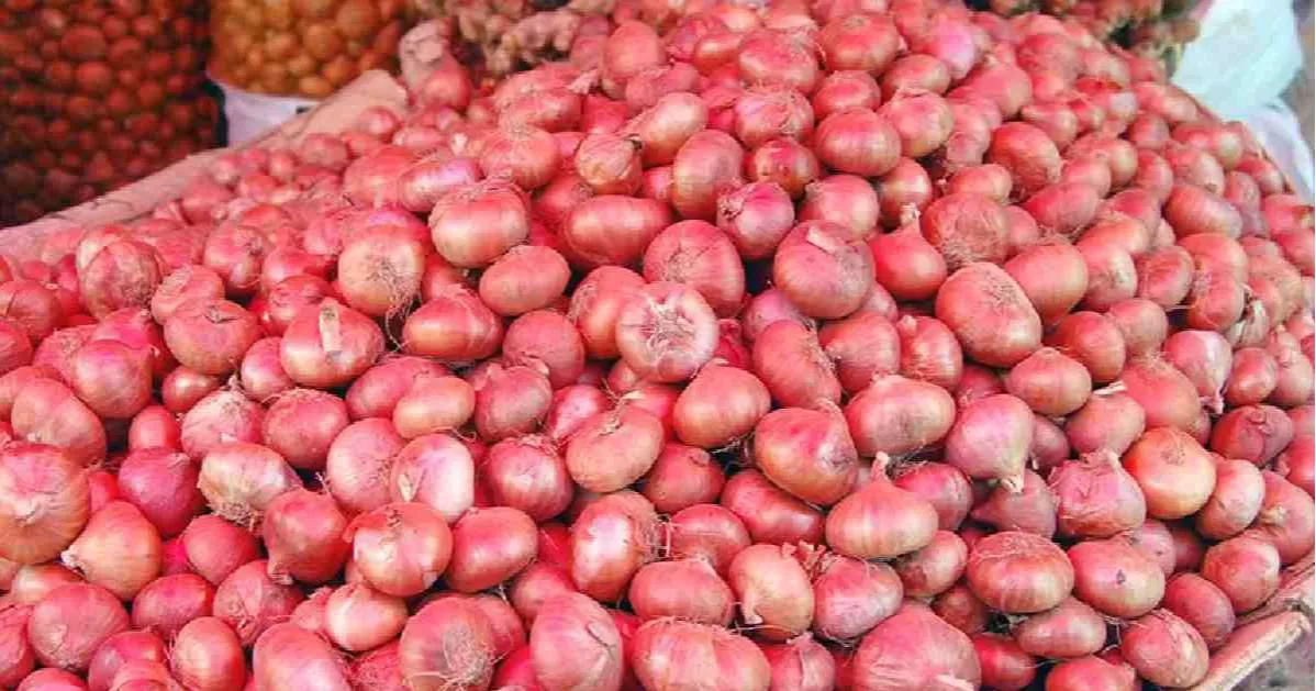 Bangladesh to import 50,000 MT onion from India
