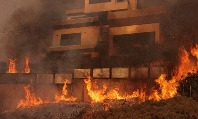 গ্রিসে ভয়াবহ দাবানল, পুড়ে গেছে শতাধিক ঘরবাড়ি
