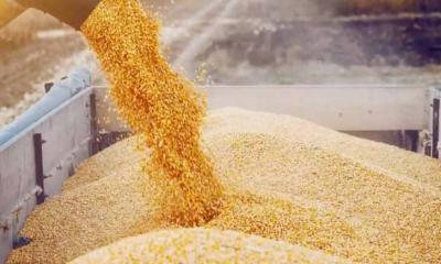 ঋণ করে খাবার কিনছেন দেশের ৪ কোটি মানুষ