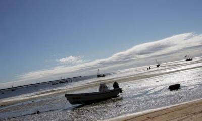 কলেরা থেকে বাঁচতে গিয়ে ফেরিতে ৯০ জনের প্রাণহানি