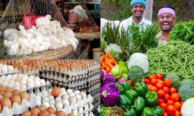 Prices of vegetable steadily rising while those of eggs, chicken and fish keep soaring