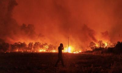 Firefighters in Greece have discovered the bodies of 18 people in an area with a major wildfire