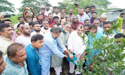 দেশের অস্তিত্ব টিকিয়ে রাখতে বেশি করে গাছ লাগাতে হবে: পরিবেশমন্ত্রী