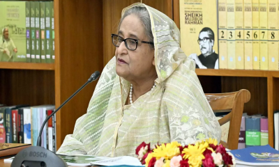 Consider public benefits before taking up dev projects: PM