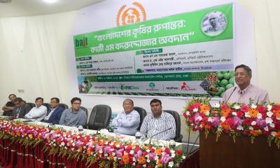 এ বছর চাল আমদানি করতে হবে না, প্রত্যাশা কৃষিমন্ত্রীর