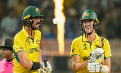World Cup 2023: Australia secure final berth by beating South Africa in low-scoring affair