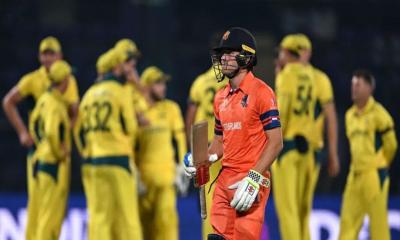 World Cup 2023: Australia brighten their semifinal berth with a record 309-run victory over Netherlands
