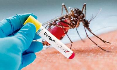 Dengue death toll crosses 1300-mark in Bangladesh