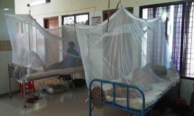 9 more dengue patients die; 1,565 hospitalised in 24hrs