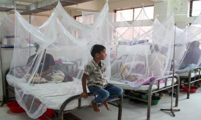 Dengue death toll rises to 958; 15 more die in 24 hrs