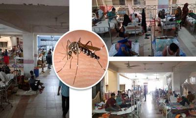 ডেঙ্গুতে ২৪ ঘণ্টায় মারা গেছেন ২১ জন