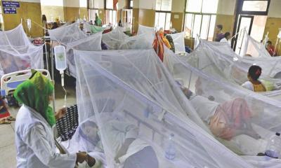72  new dengue cases in 24 hours