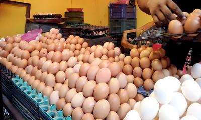 রোজার মাসে ডিমের দাম ৪২ টাকা হালি