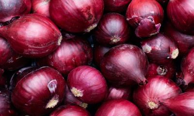 Govt permits import of onion from 9 countries