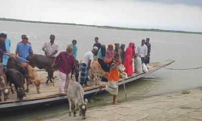 Flash flood inundates Haor areas in Kishoreganj, ferry services suspended
