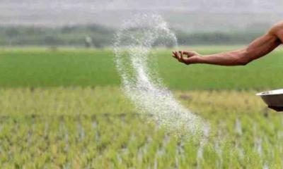 115,000 MTs of fertiliser to be imported