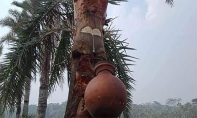 খেজুরের কাঁচা রস খেয়ে একজনের মৃত্যু