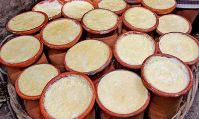 জিআই পণ্যের মর্যাদা পেল বগুড়ার দই-ল্যাংড়া আম