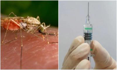 চিকুনগুনিয়ার প্রথম টিকার অনুমোদন :যুক্তরাষ্ট্র