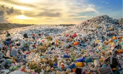 Plastic Pollution: Harmful effects on human health and environment