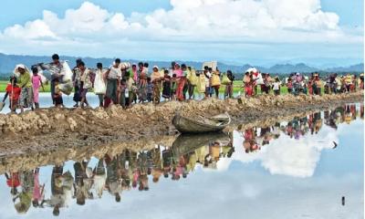 Myanmar army counterattack may prompt further Rohingya influx