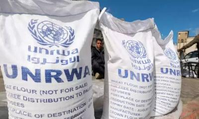 Sweden resumes aid to UN agency for Palestinians