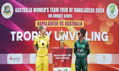 নিগারদের ভাল করার ইচ্ছা