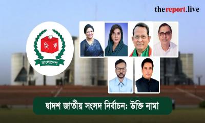 দ্বাদশ জাতীয় সংসদ নির্বাচন: উক্তি নামা