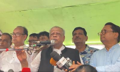 বিএনপি একই চক্রান্ত শুরু করছে নতুন আদলে: আমু