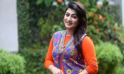 অভিনেত্রী সীমানা আর নেই