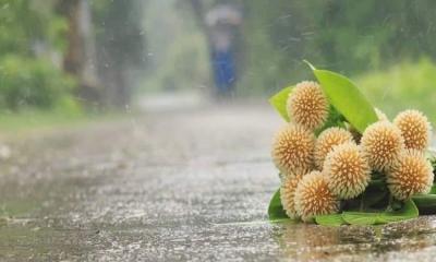 আষাঢ়ের প্রথম দিন আজ