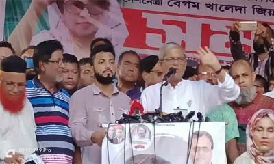 এক ভিসা নীতিতে সরকারের মাথা খারাপ হয়ে গেছে: মির্জা ফখরুল