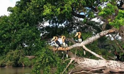 শব্দ শুনেই ভিডিও বানাবে ‘সোরা’