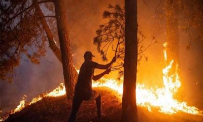 ভয়াবহ দাবানলে পুড়ছে কানাডা, প্রাণ বাঁচাতে শহর ছাড়ছে মানুষ