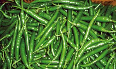 Green chilli gets cheaper as 339 tonnes arrive