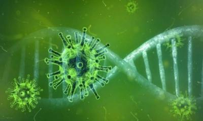 ভারতে করোনার নতুন ধরনে আক্রান্ত ২১ রোগী শনাক্ত