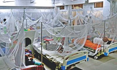 Dengue situation monitoring stops due to lack of fund