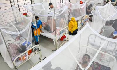 4 more dengue patients die in 24 hours; death toll rises to 56 this year