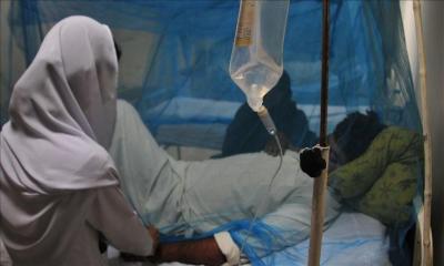 19 dengue patients die, 1,792 hospitalised in 24 hrs