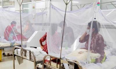 ডেঙ্গুতে জুলাইয়ের মৃত্যু ছাড়িয়ে গেল আগস্টের ১৮ দিনেই