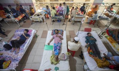 12 dengue patients die, 2,475 hospitalised in 24 hrs