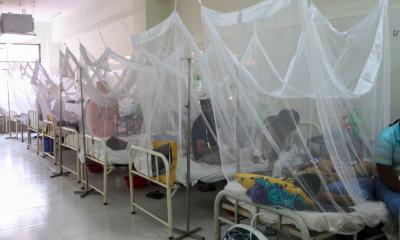 10 dengue patients die; 2,495 hospitalized in 24hrs