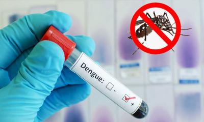 Dengue death toll crosses 500-mark in Bangladesh