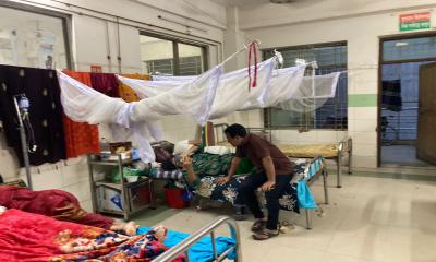 ডেঙ্গুতে প্রাণহানি ৬০০ ছুঁই ছুঁই