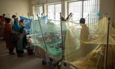 Dengue Outbreak: Death toll rises to 671 as 14 patients die in 24hrs
