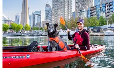 মেয়র পদে ১০১ জনের সাথে লড়ছে কুকুর মোলি!