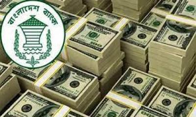 কমছে বেসরকারি খাতে বিদেশি ঋণ বাড়ছে রিজার্ভে চাপ