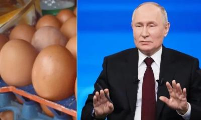 ডিম নিয়ে পুতিনের ক্ষমা প্রার্থনা