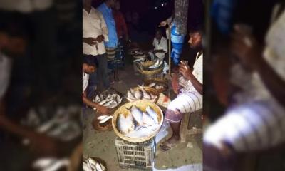 নিষেধাজ্ঞার পরও টর্চের আলোতে চলে কেনা-বেচা