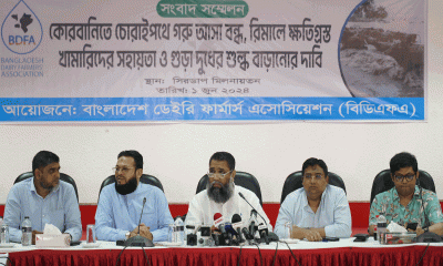 কোরবানির আগে চোরাই গরু আসা বন্ধের দাবি খামারিদের